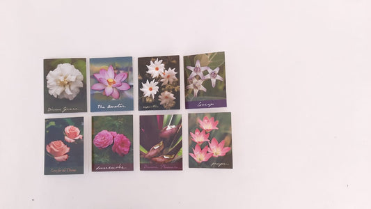 3D Flower Cut-Out Cards  - Pack of 8