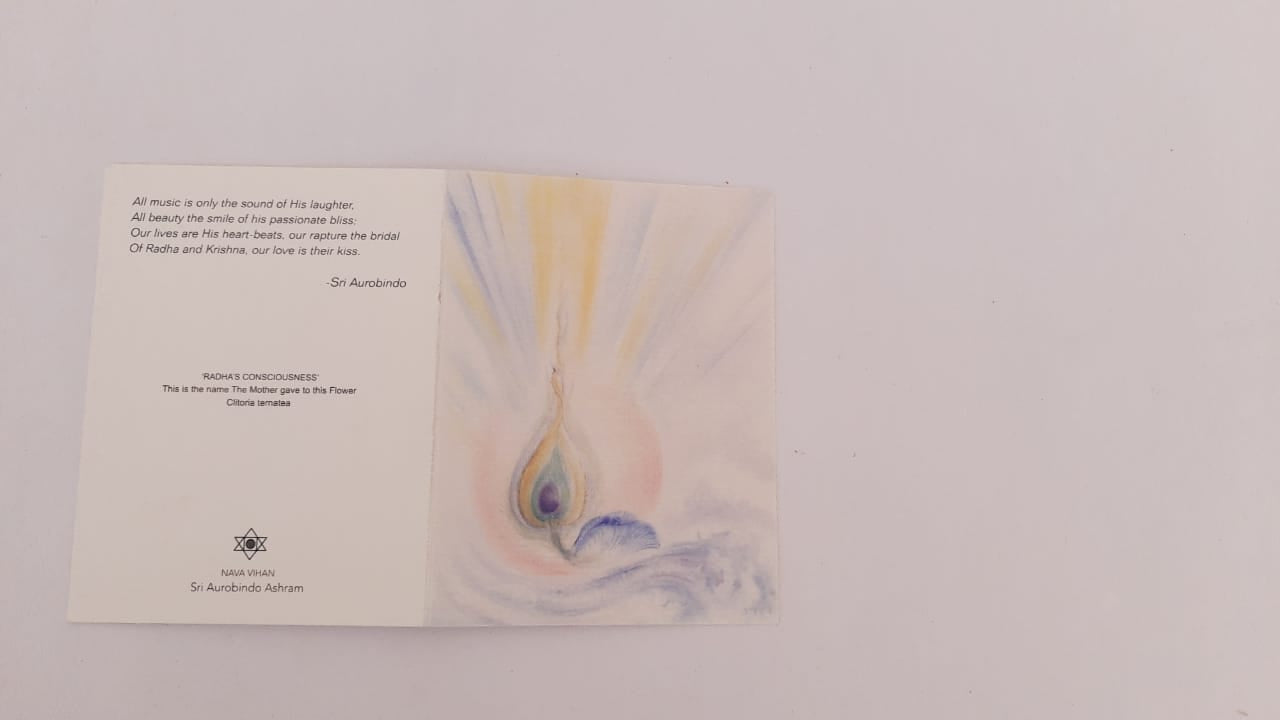 Creative Cards - Subtle Play of Colours in Artists' Creative Vision