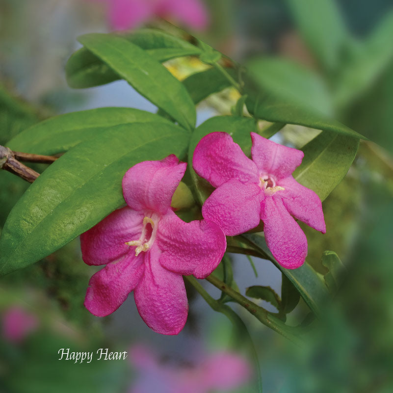 Flower Wall Décor - Happy Heart