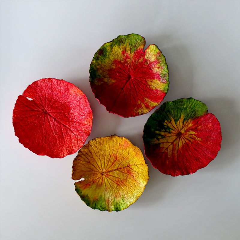 Handcrafted paper pulp trays with leaf imprints, displayed in multicolored variations, intended for use as dining table decorations or for holding dry fruits.