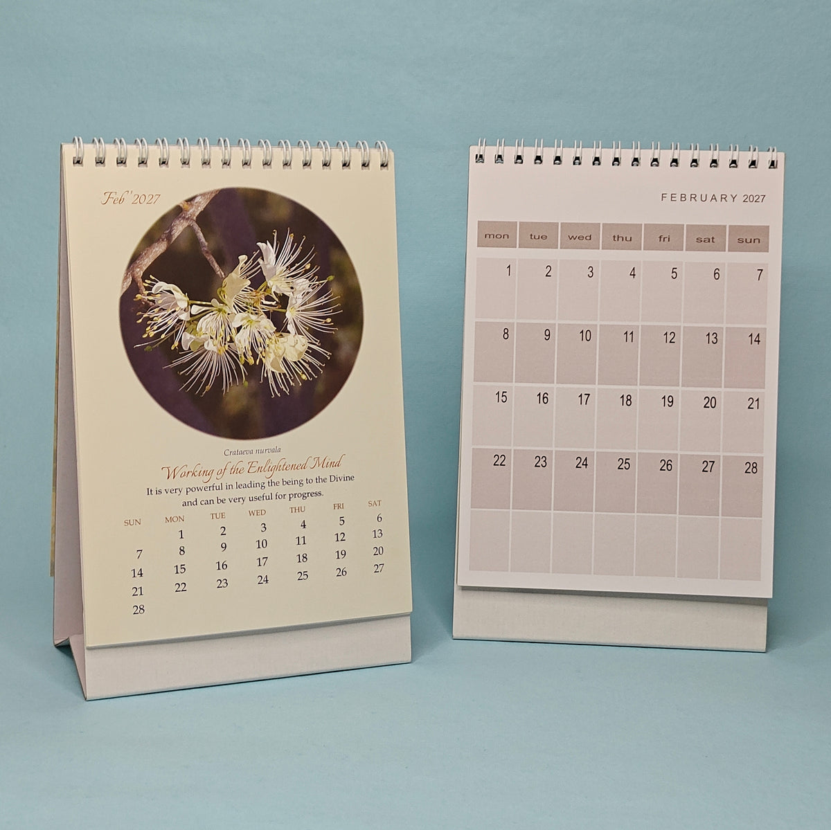 Flowers Calendar 2027 by Sri Aurobindo Ashram