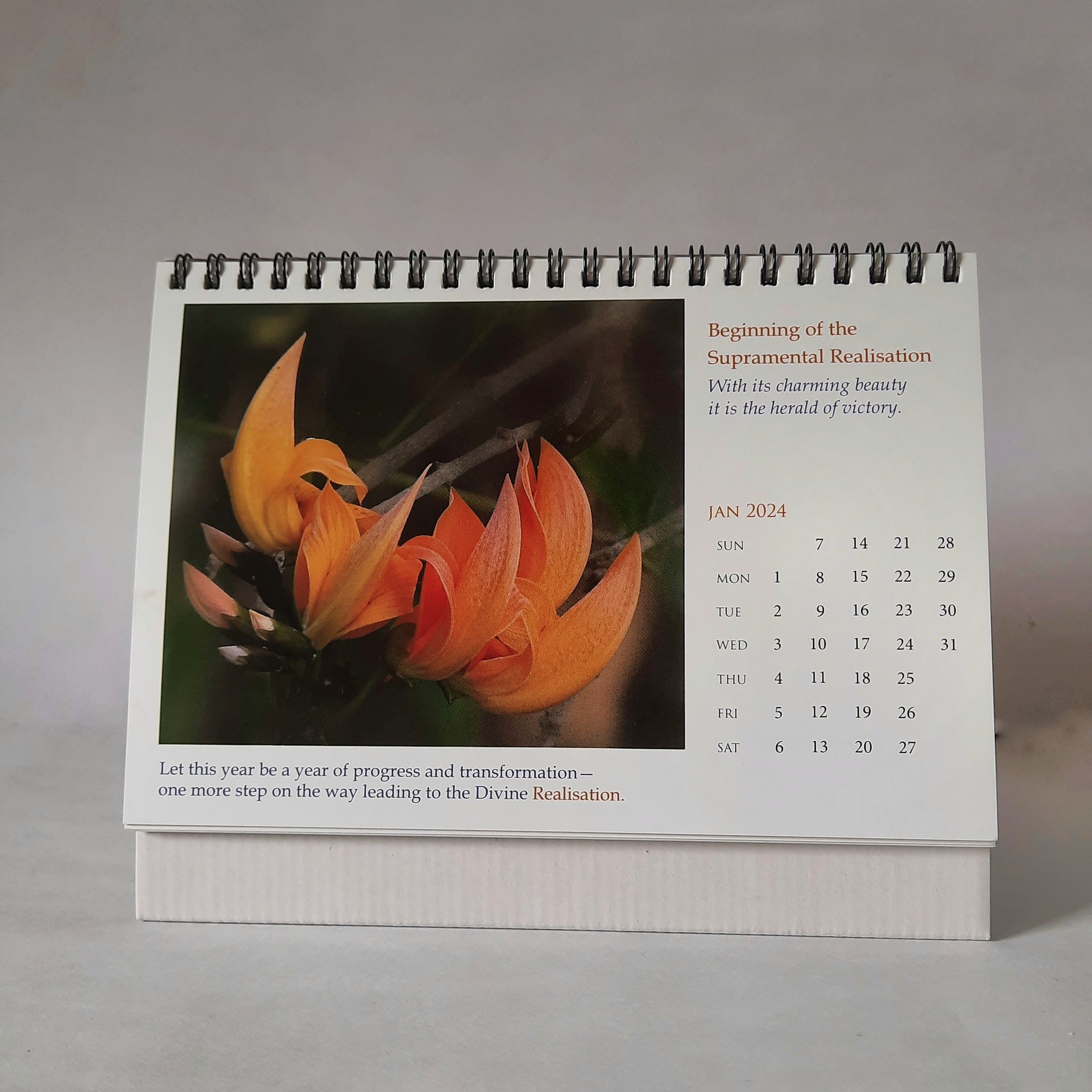 Desk Calendar 2024 Spiritual Flowers Calendar Navavihan, Pondicherry