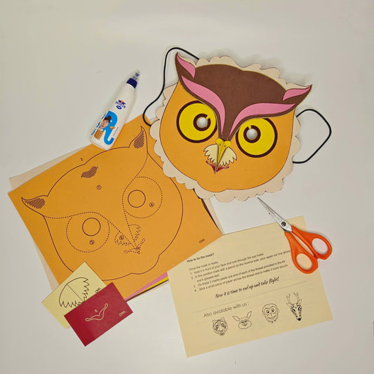 Owl Mask Making Kit for Kids