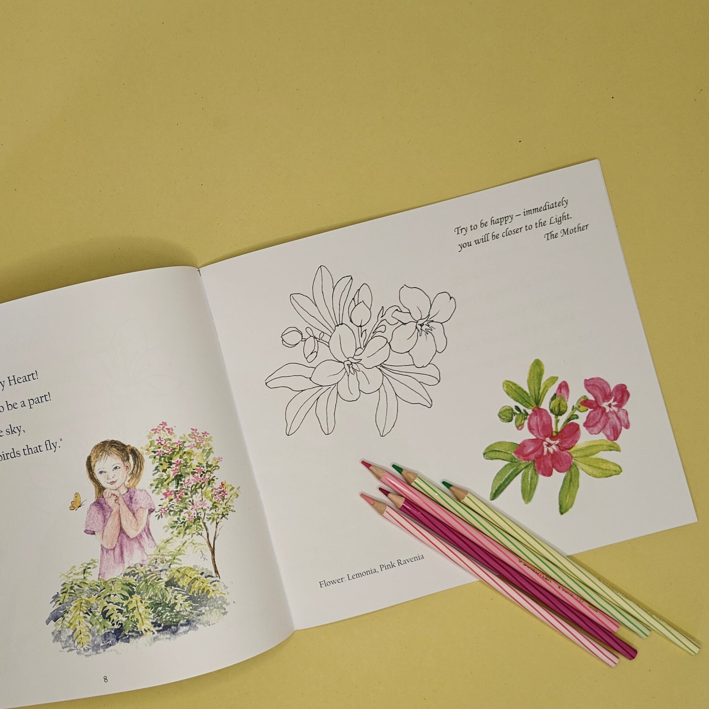 colour pencil illustrated art book or art booklet