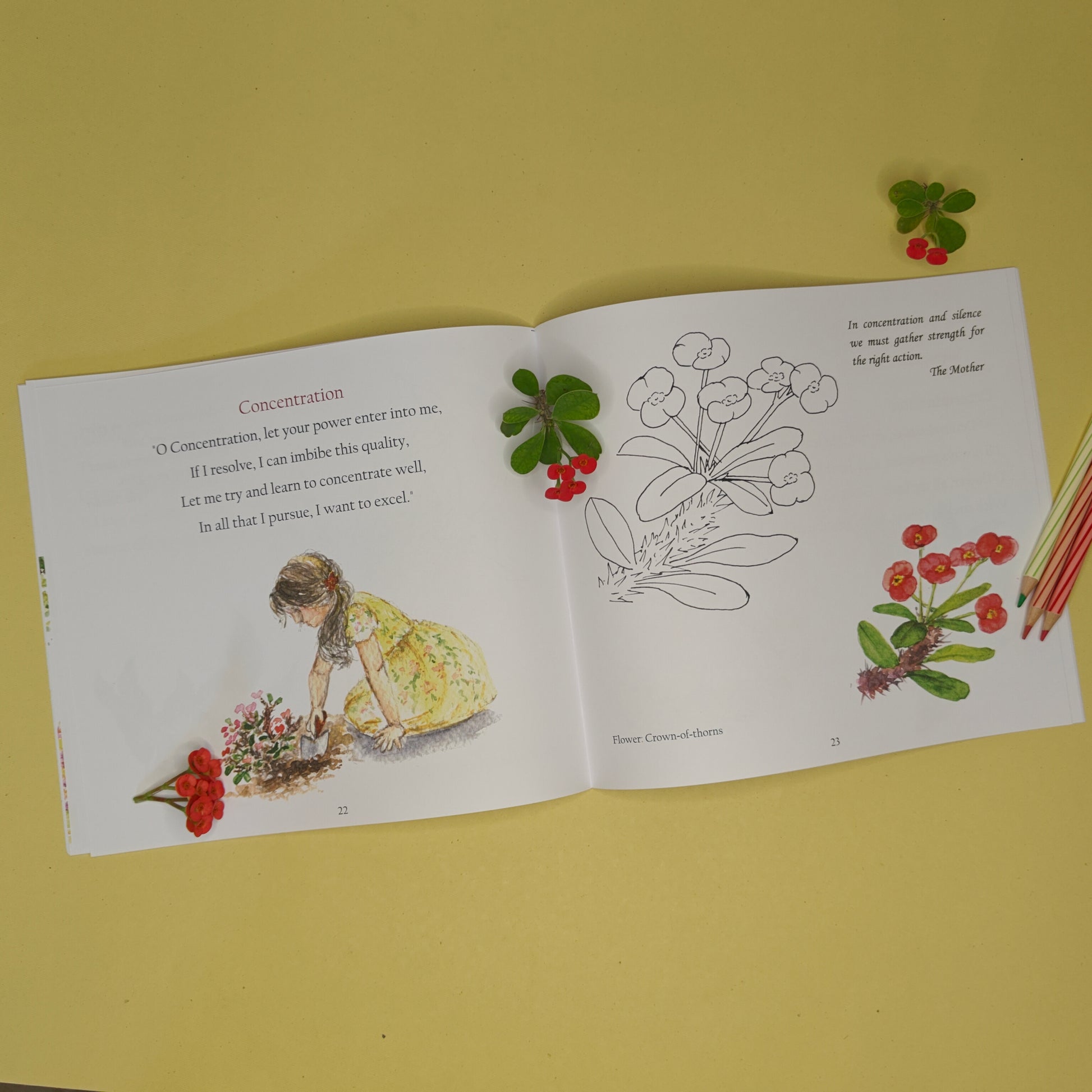 hand drawn art for children of all ages