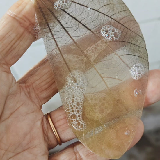 Natural Leaf Greeting Card Video