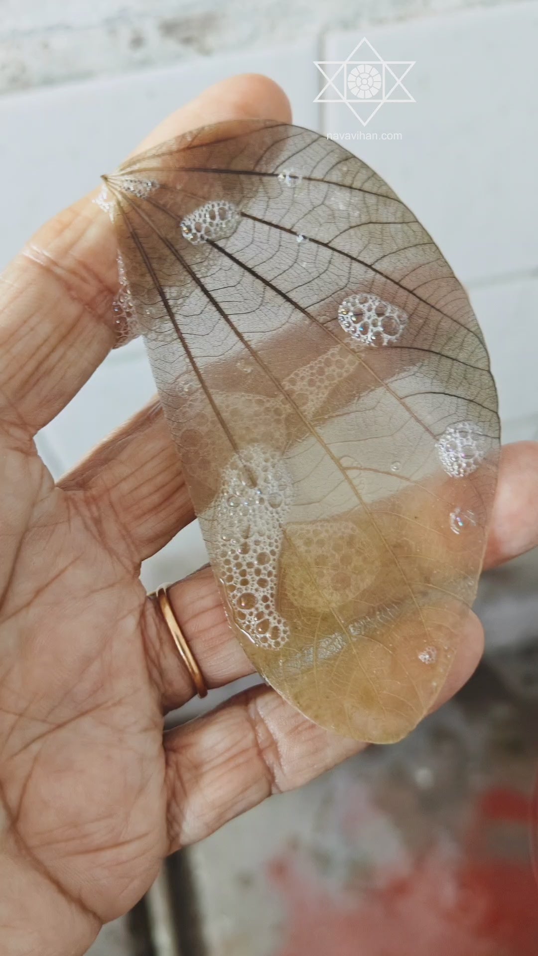 Natural Leaf Greeting Card Video