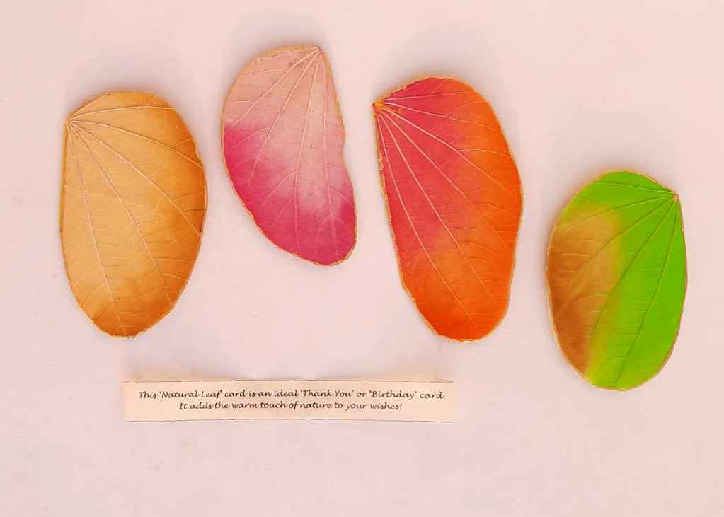 Natural Leaf Cards - Pack of 4 Assorted