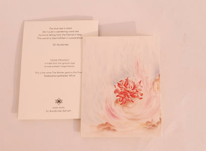 Creative Cards  -  Subtle Play of Colours in Artists' Creative Vision