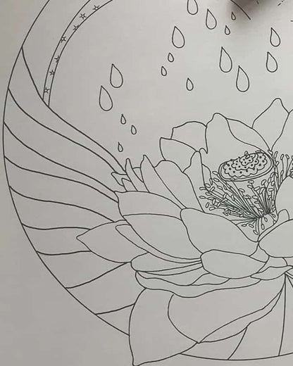Avatar - A Lotus Colouring Book