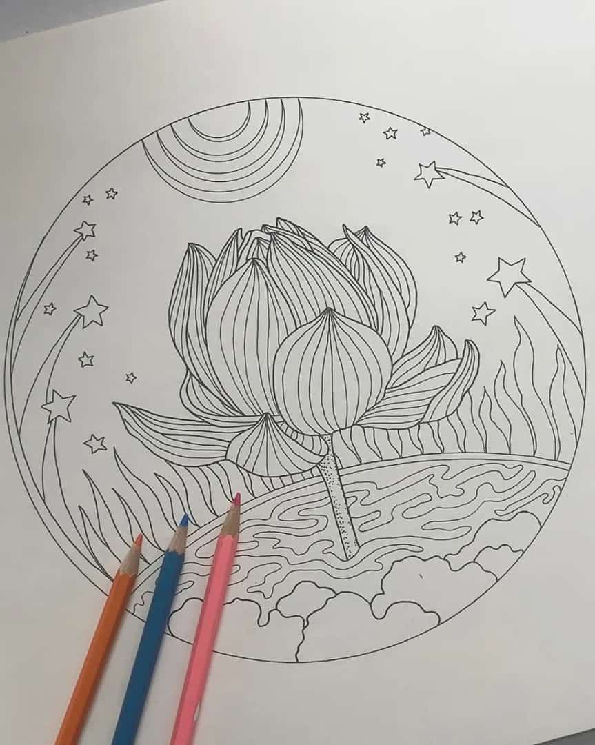 Lotus flower, first drawing with colored pencils. looking for critique and  input as I have no instruction or knowledge of the world of drawing : r/ drawing