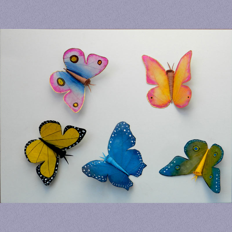 5 beautiful  and colourful butterflies. Pink and Blue, Green and Blue, Yellow and Black, Orange and Pink and shades of Blue.