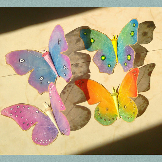 4 colourful butterflies with their shadows due to the sunlight falling on them.