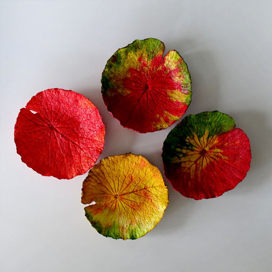 Paper Pulp Tray (Small) - For Fresh or Dry Fruits on the Dining Table