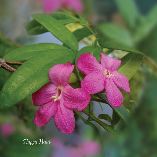 Flower Wall Décor - Happy Heart